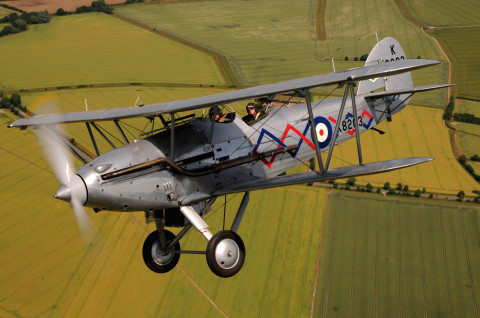 Hawker Demon