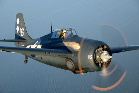 Wild Warbirds FM-2 Wildcat