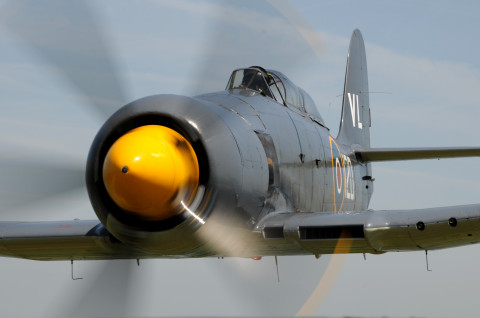 Sea Fury