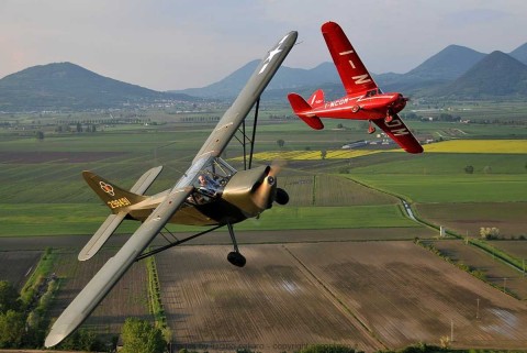 Stinson L 5 and Macchi 308